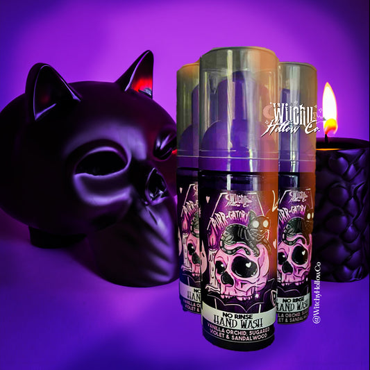 Purrr-gatory No Rinse hand wash