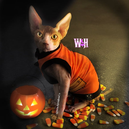 Sam Patches Kitty Shirt