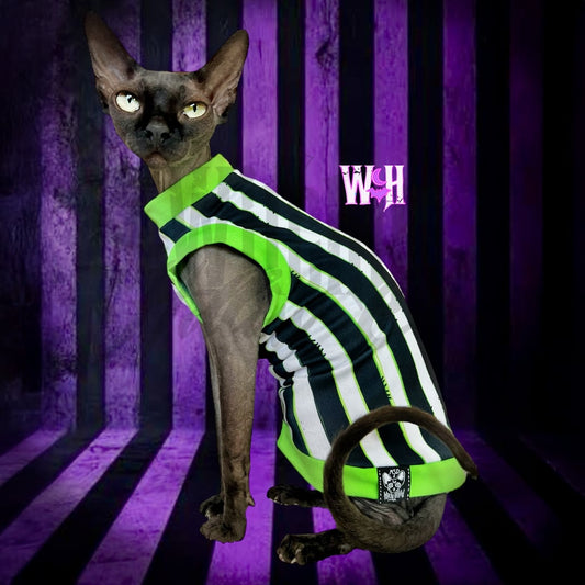 Ghost Stripes Kitty Shirt