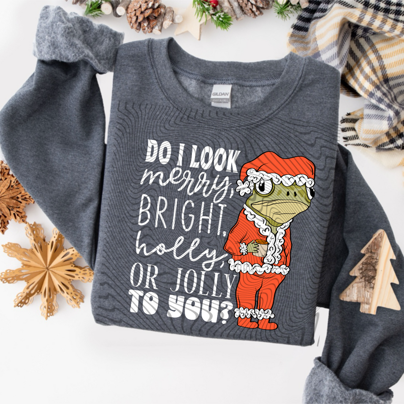 do i look merry shirt