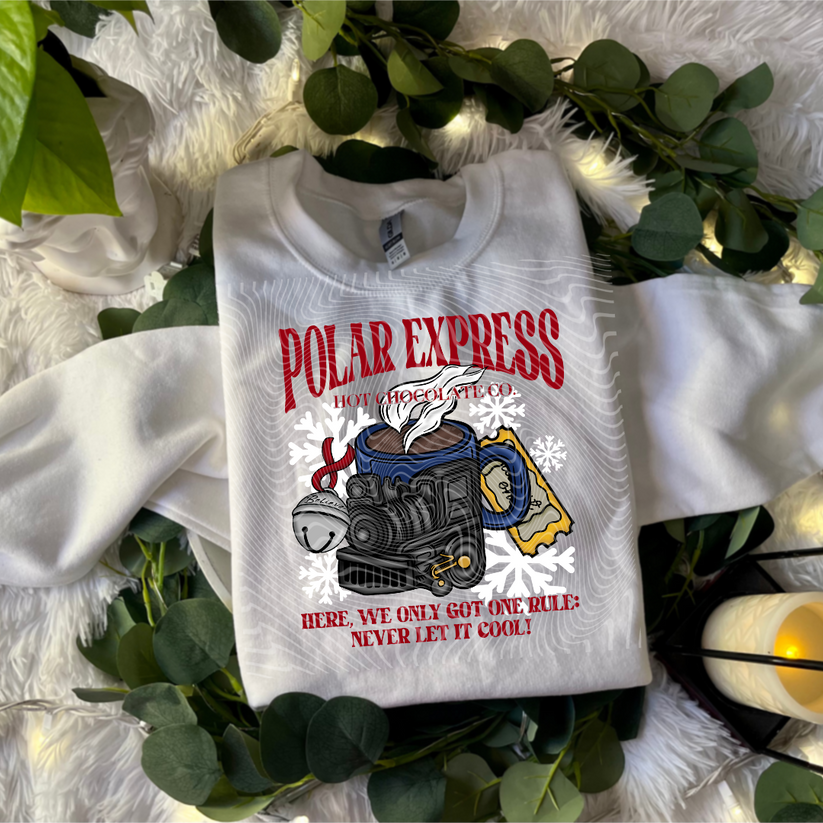 polar train shirt